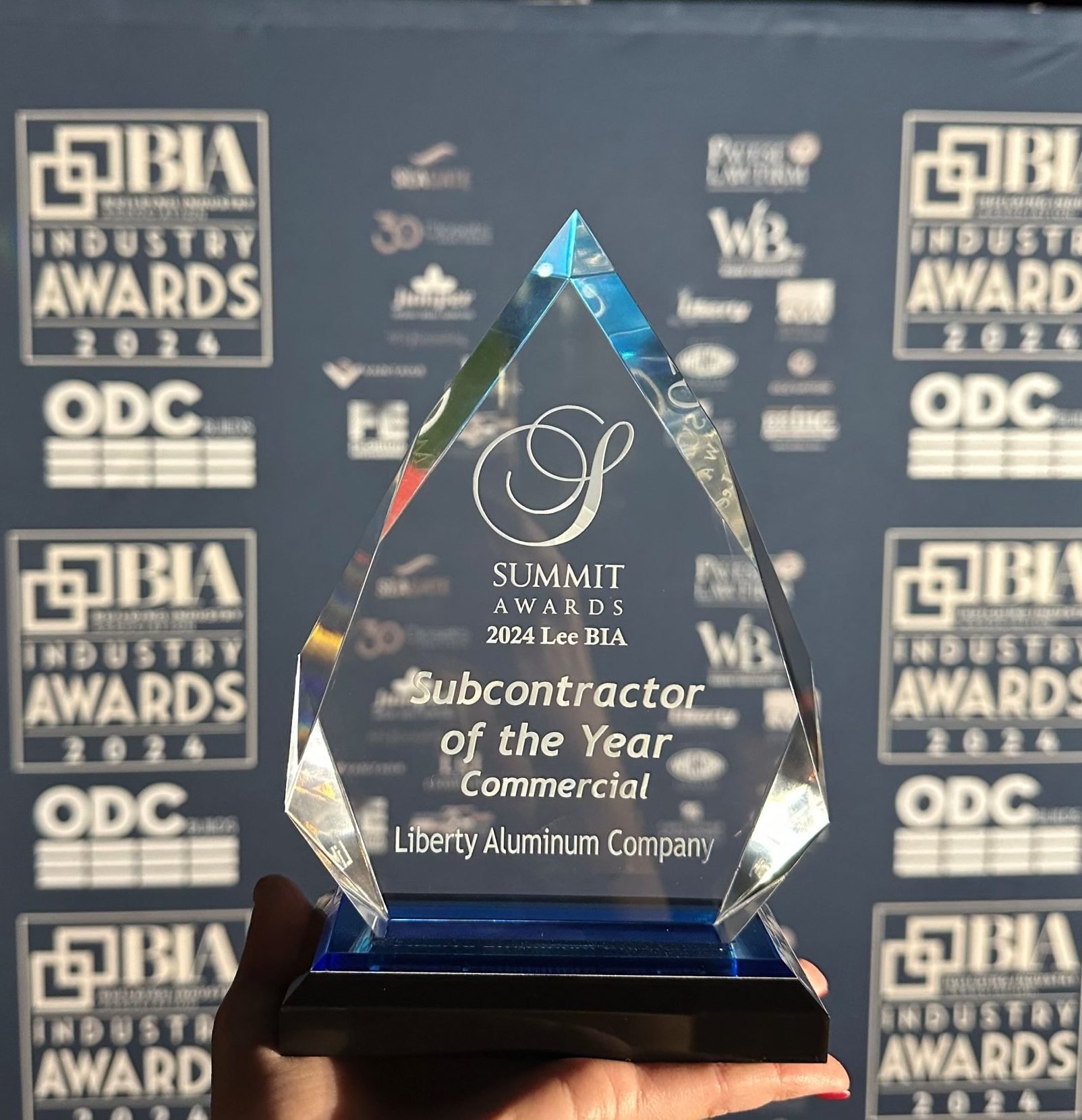 Horizon Council Award